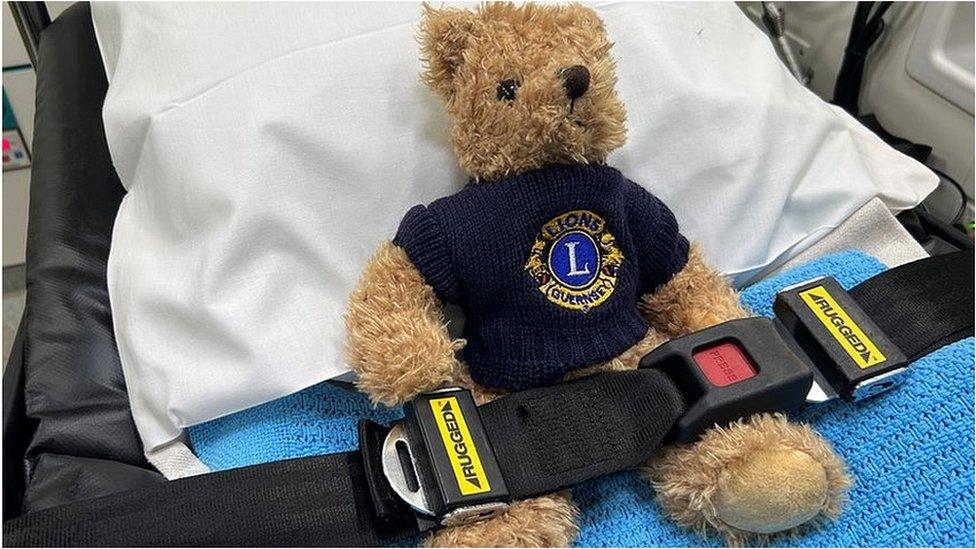Teddy bear