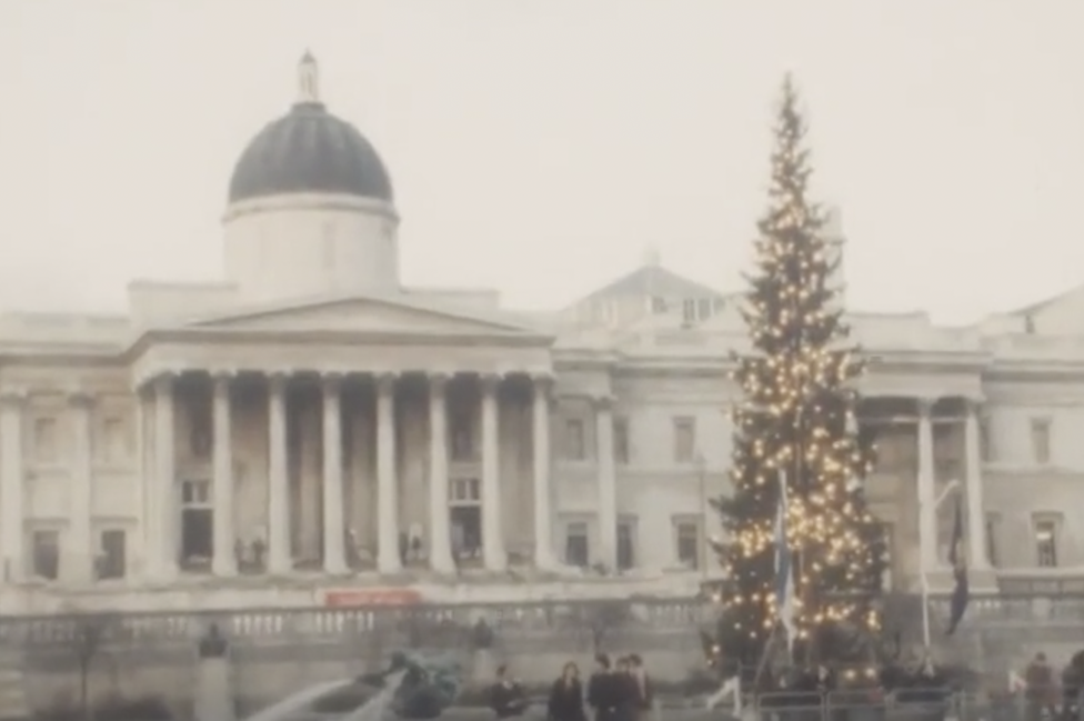 Trafalgar tree