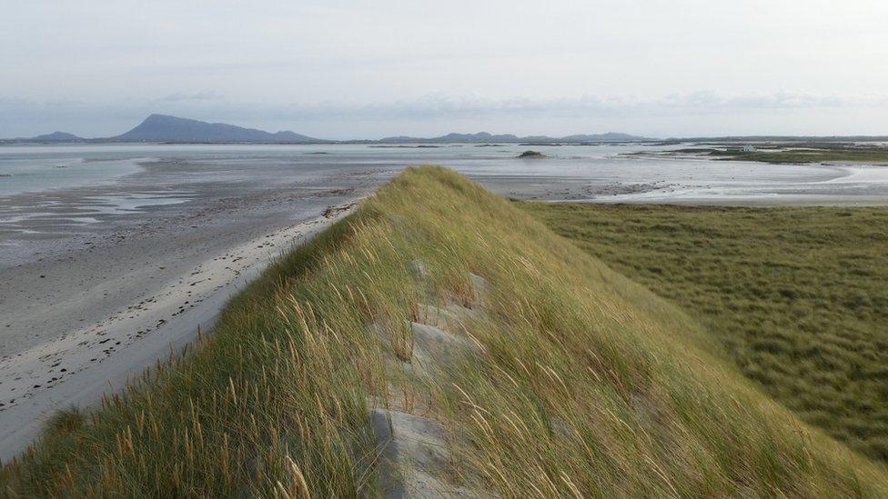 Machair