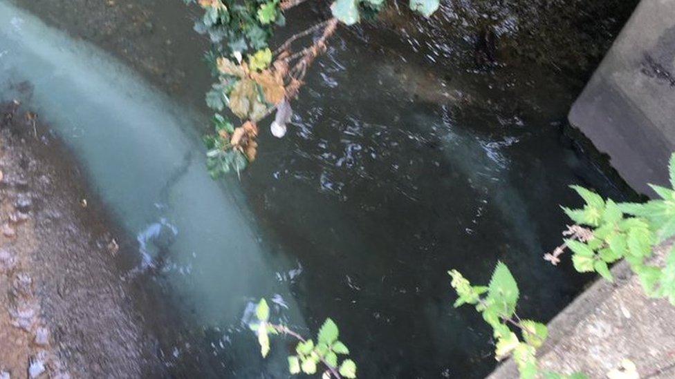 Blue Substance in river Pool