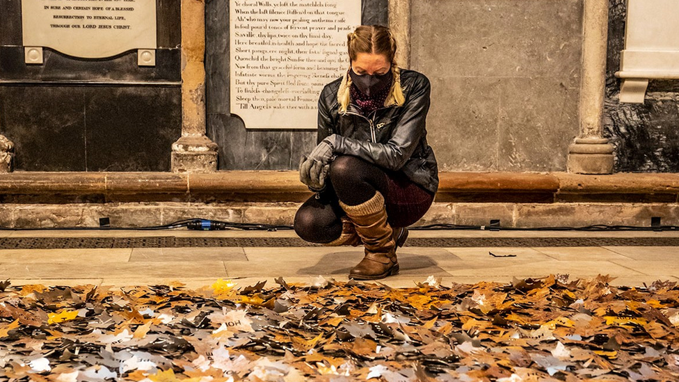 The installation of leaves