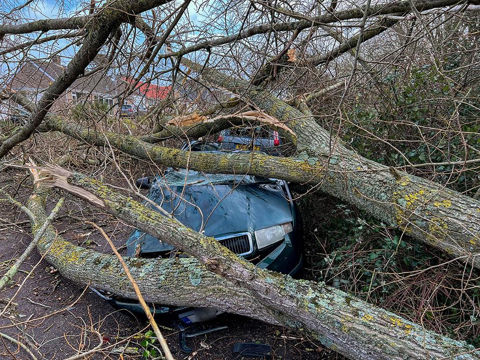 Two cars crushed under a fallen tree in the village of Walditch, just outside Bridport, Dorset, on 18 February 2022