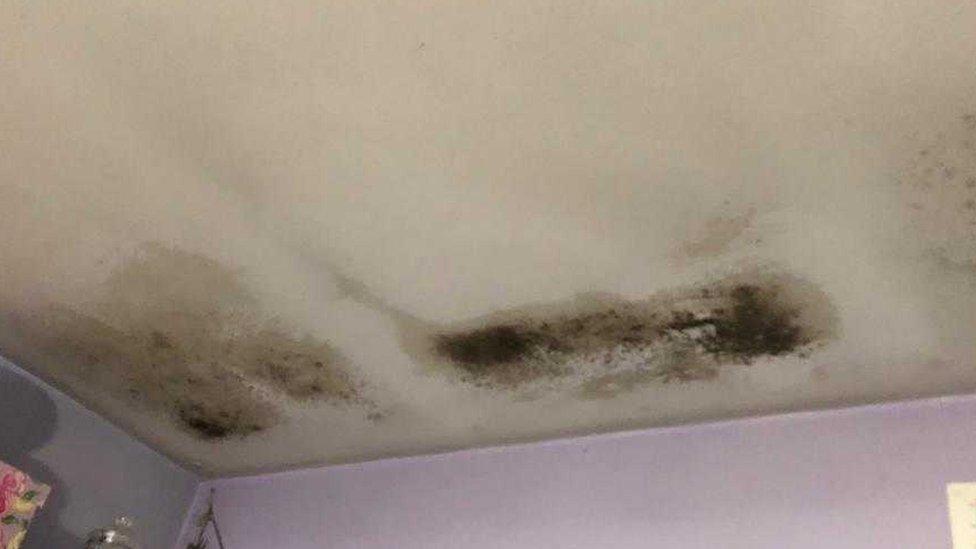 Mould on ceiling