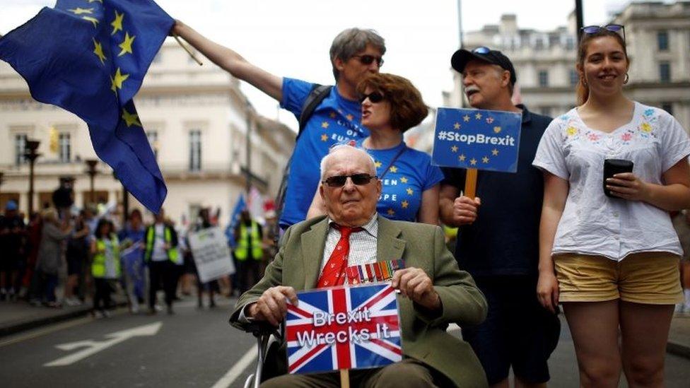 Pro-EU protesters