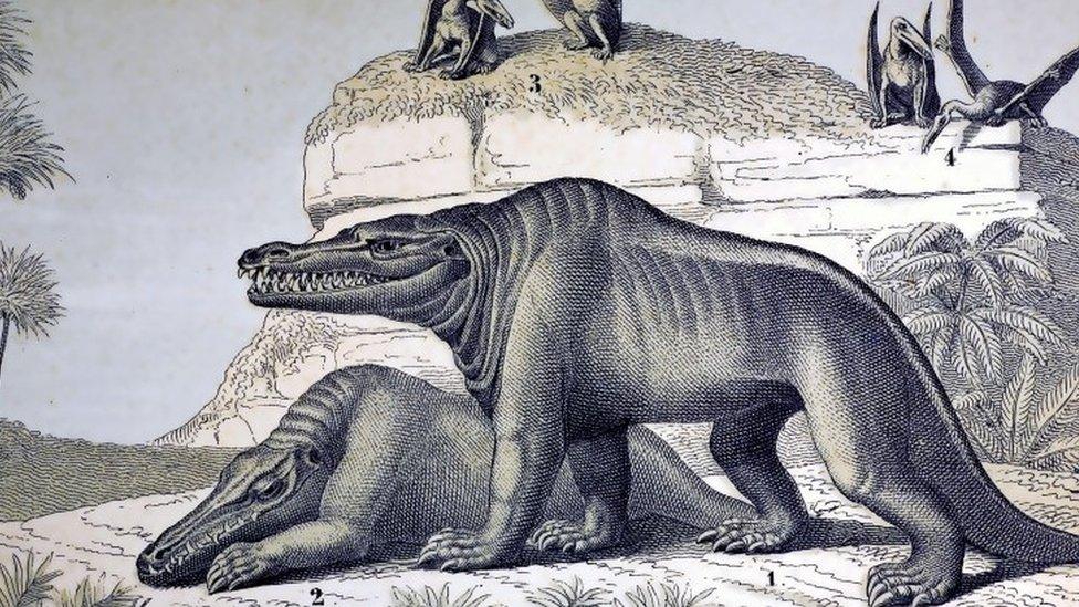 Drawing of the dinosaurs