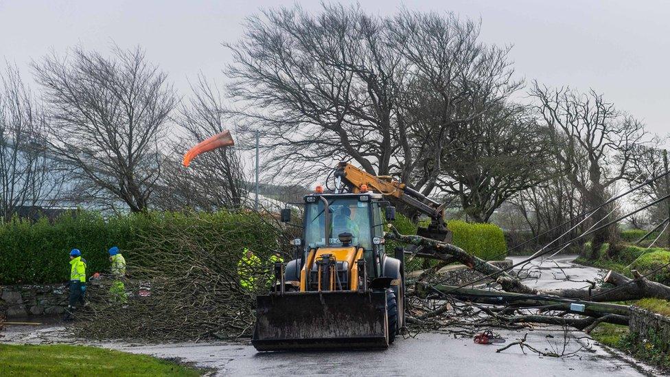 fallen tree across a road with a digger and workers attempting to move it