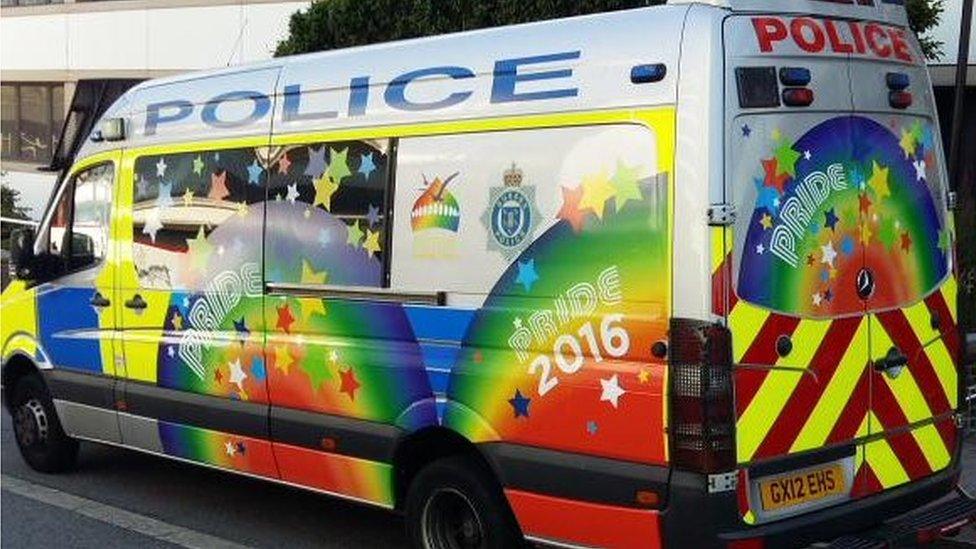 Sussex Police van decorated for Pride