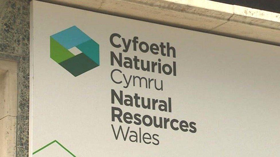 Arwydd Cyfoeth Naturiol Cymru