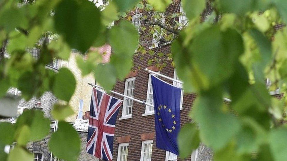 Flags in Smith Square