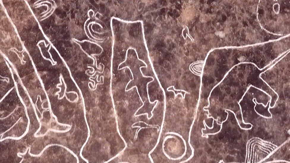 Petroglyph sharks