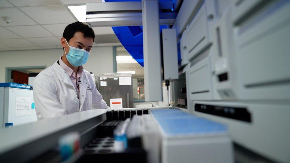 Doctor working in a lab