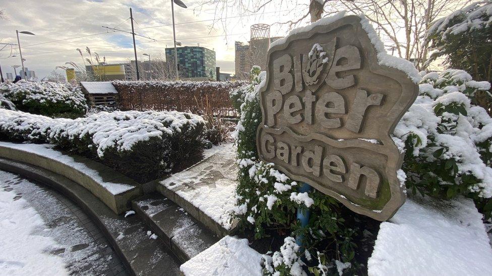 The Blue Peter Garden