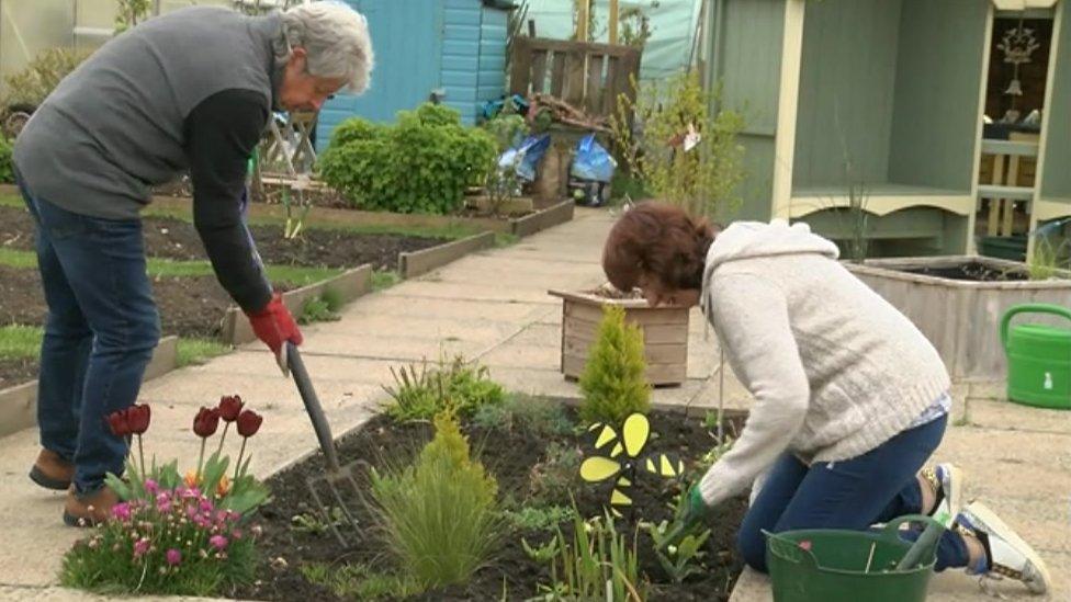 Paul and Heather in the allotment