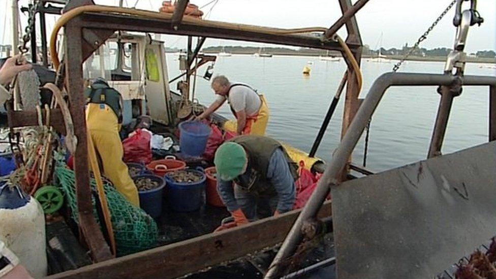 Oyster fishermen