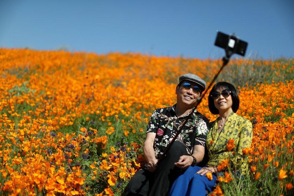 A couple takes a selfie photo in a super bloom of poppies in Lake Elsinore, California