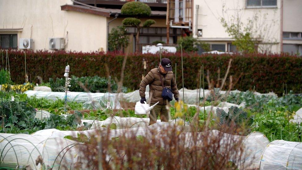 Japanese farmer