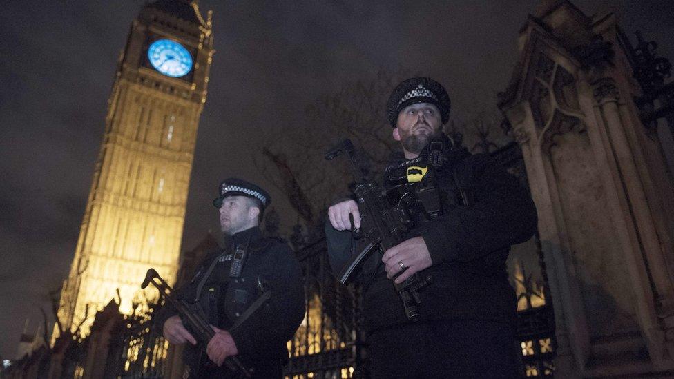 Police at Westminster