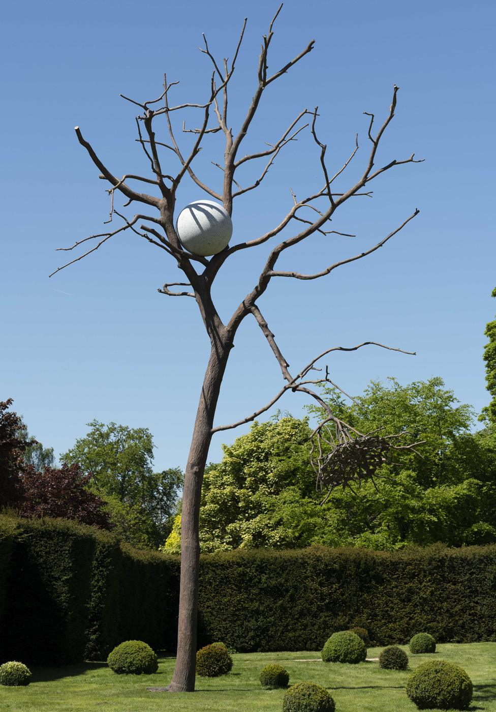 Giuseppe Penone, Luce e Ombra, 2014