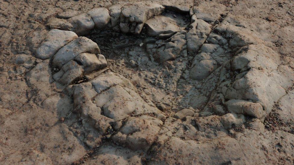 Dinosaur footprint in Penarth