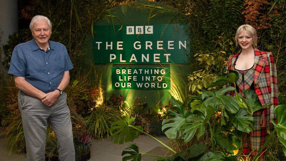 Sir David Attenborough at Cop 26