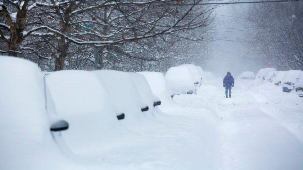 Snow accumulates on vehicles parked along Jenifer Street during a major blizzard in Washington, DC, USA, 23 January 2016.