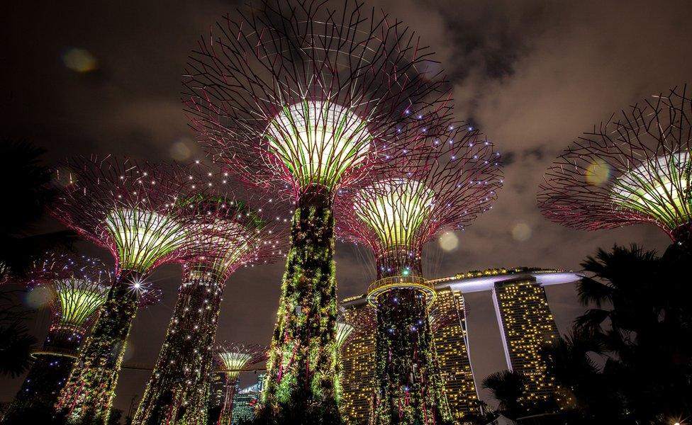 Gardens by the Bay