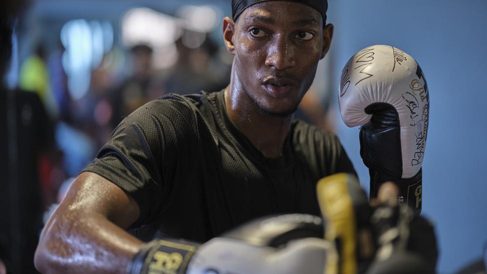 Boxer sparring