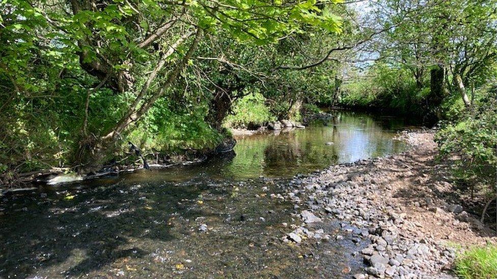 The Crumlin river