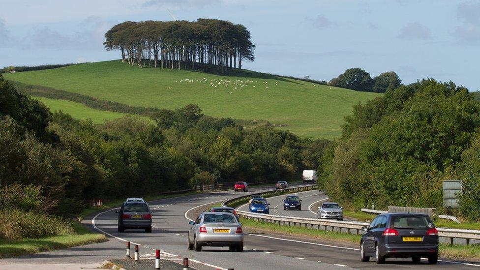 Kookworthy Knapp copse