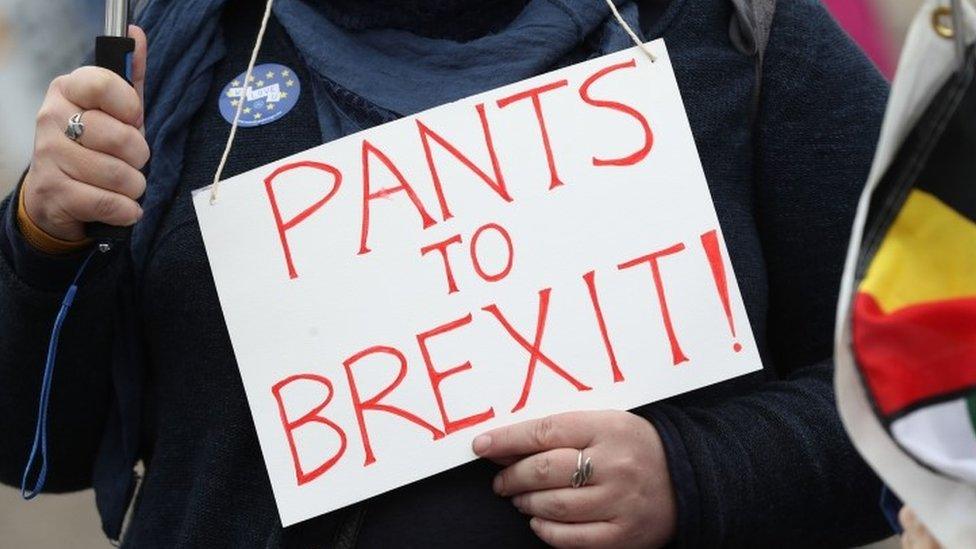 Anti-Brexit protester outside Lib Dem conference