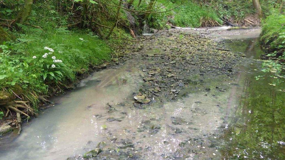 Effect of sewage on watercourse