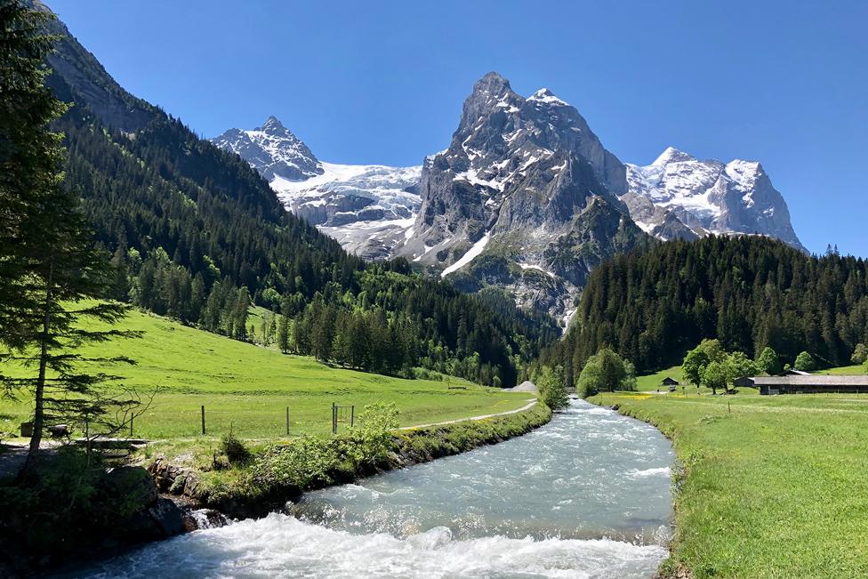 The Glacier at Rosenlaui - a mountain beyond trees and a river