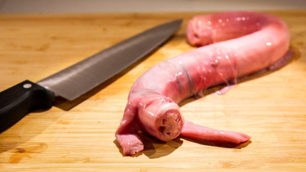 Bull penis on a cutting board