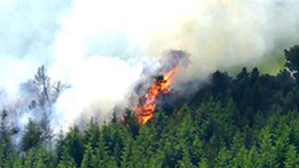 Fire on Longridge Fell