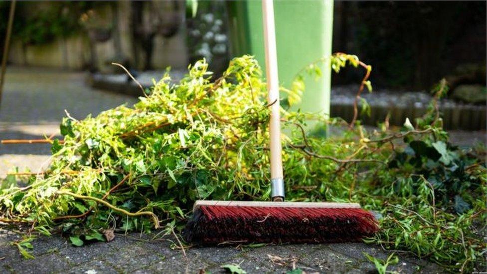 Garden waste