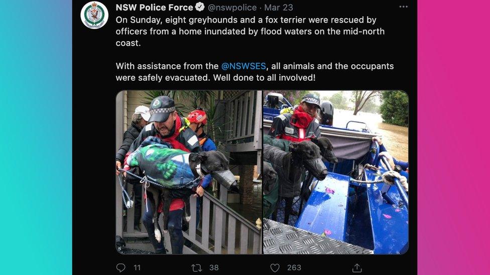 NSWpolice-tweet