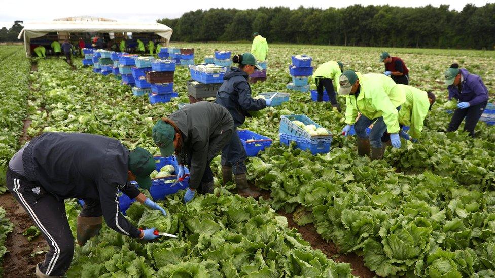 Farm workers