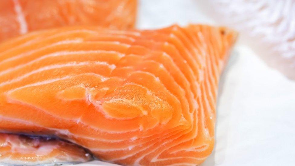 Salmon