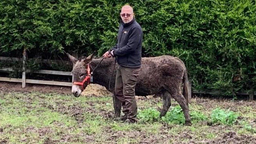 Amigo the donkey and a man