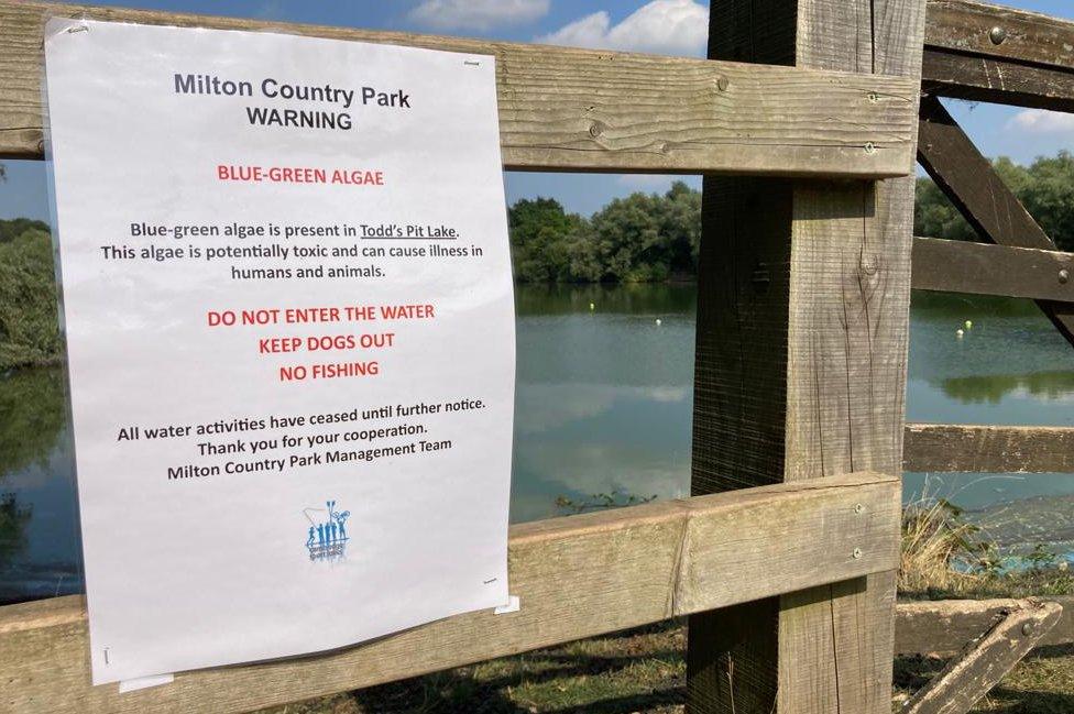 Todd's Pit, Milton Country Park