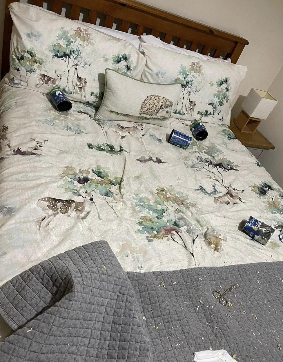 Empty dog food cans on bed