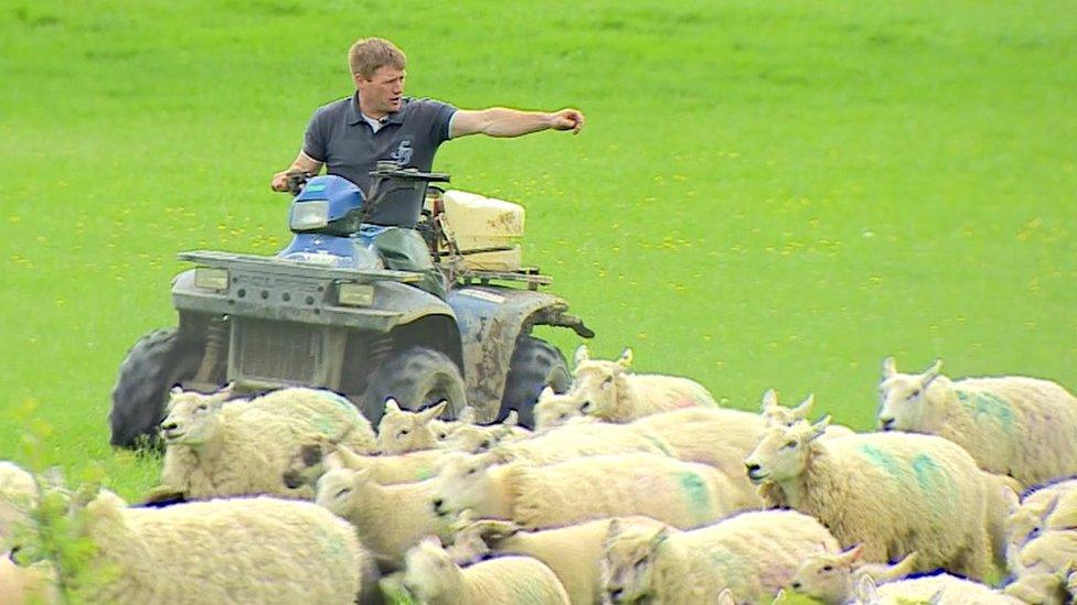 Farmer and sheep