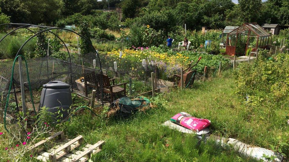 Twyford allotment