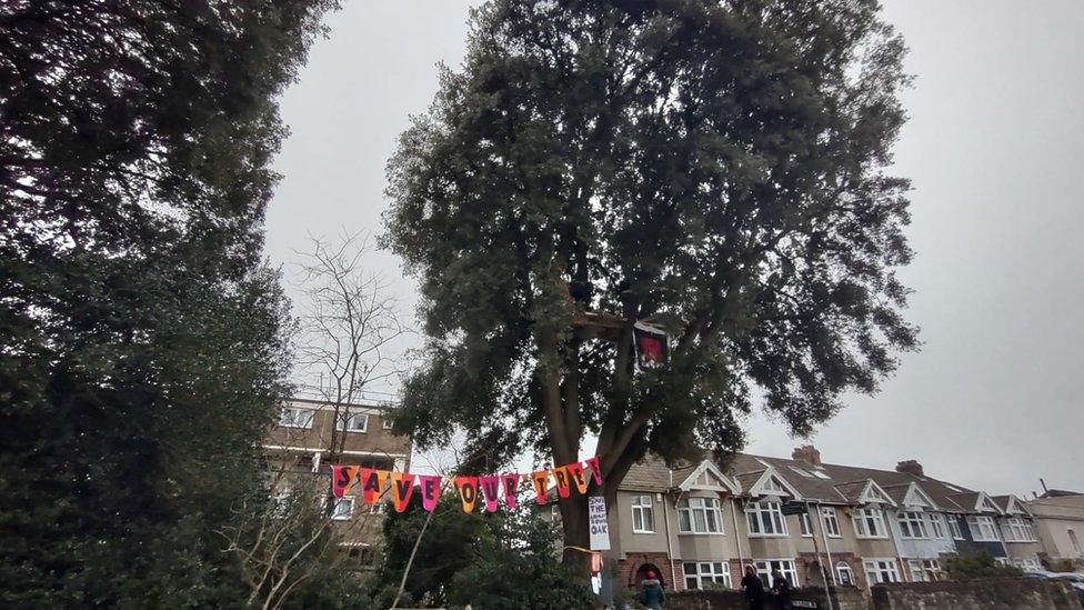 Save The Ashley Down Oak campaign bunting in front of the tree