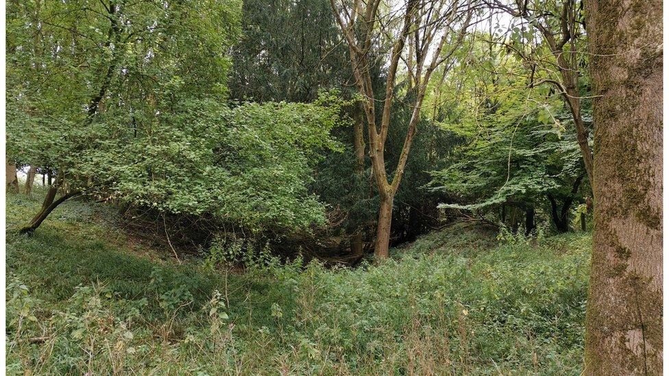 Chiltern hillfort