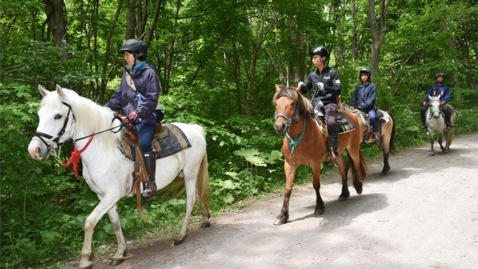 Searchers on horseback in Hokkaido (30 May 2016)