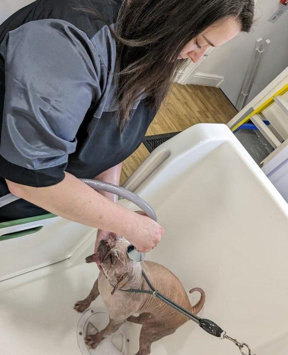 Salon manager Sam Burton washing Peggy