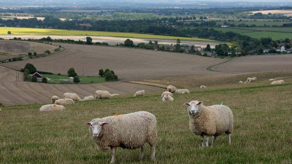 A picture of rural Oxfordshire