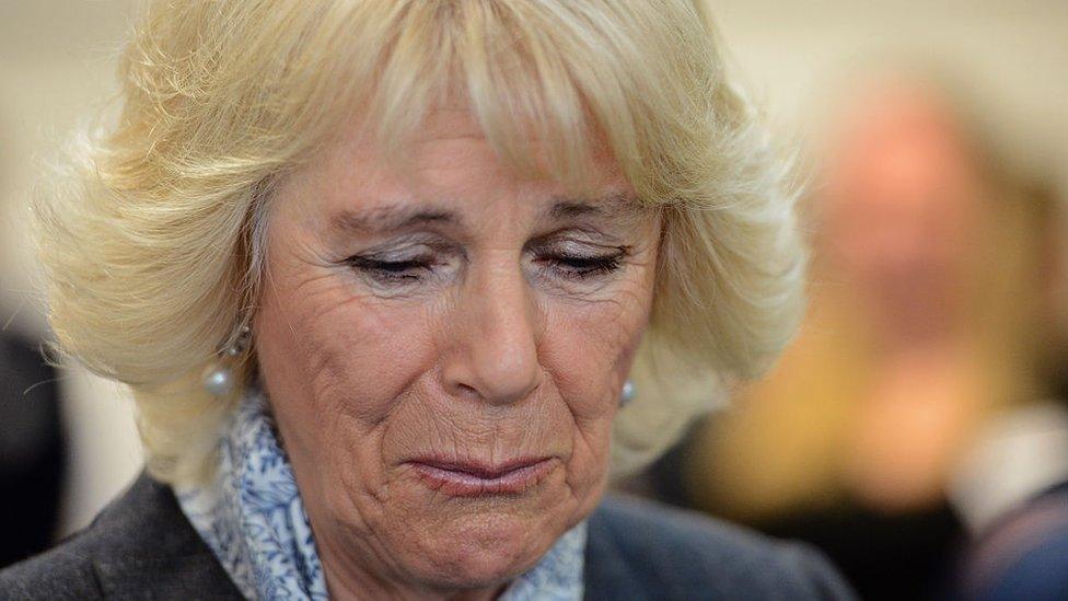 Camilla, Duchess of Cornwall at SafeLives event in 2016