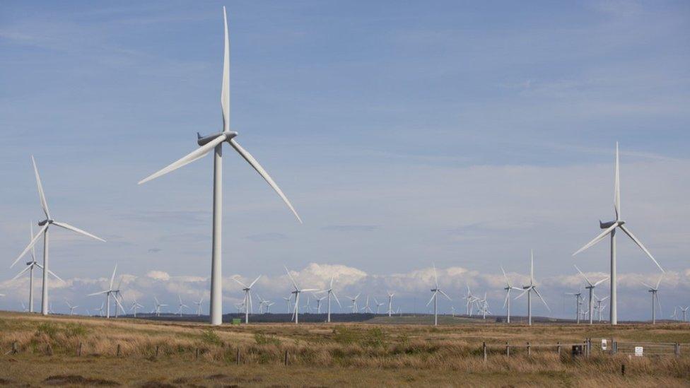 Whitelee wind farm